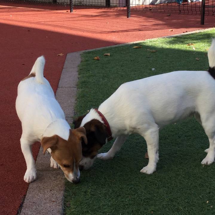 1536a3f2 8000 4063 b8f8 ac48291da0d8