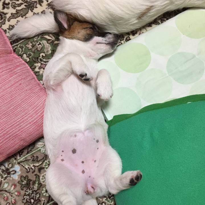 153729b4 89af 41dd 9ec5 8b2531cf1845