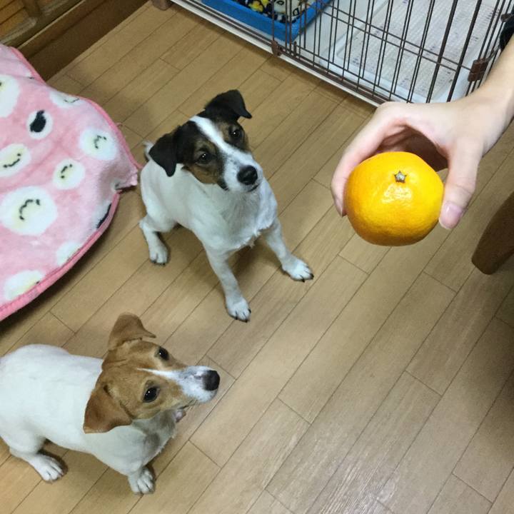 15376804 5b21 4532 a103 29f3518d68b9