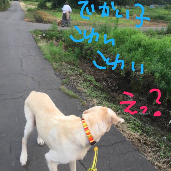 1537906c 9d76 4b68 b837 73c3026deb0f