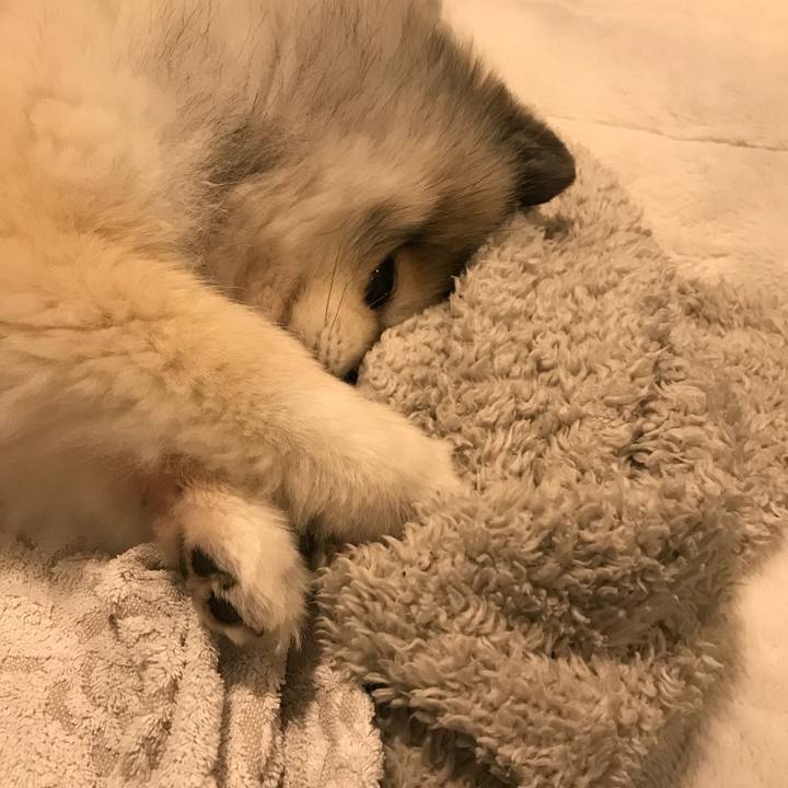 1537bd5b f0bf 4825 8772 81d4feff4bc8