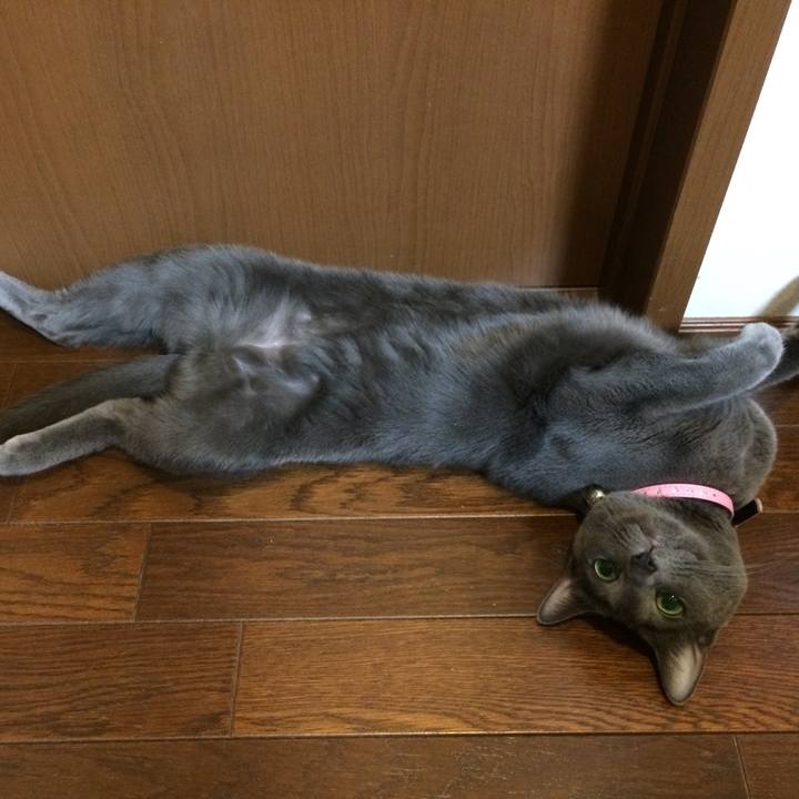 15381e7b 6b11 4d4d b383 10c49bcdd87d