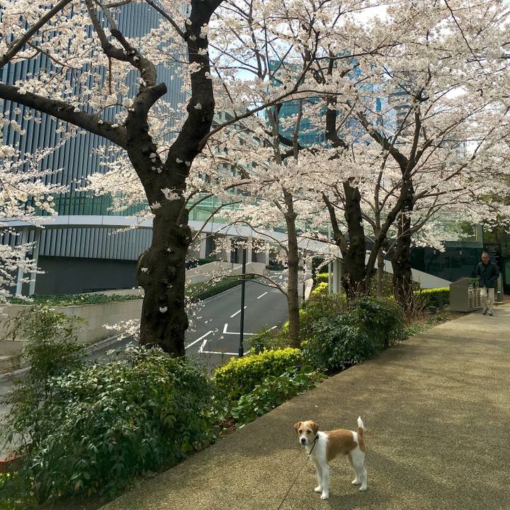 1538265e c7e2 49e5 ac79 b065e8fa10da