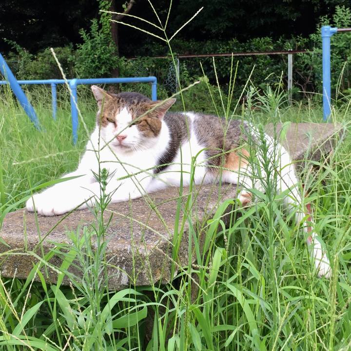 1538da8c a404 4735 b5fc 4cc94bfbb2d2