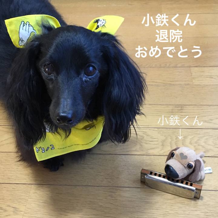 1539adfd 92df 47dc a6c6 a78ed0ec6b6b