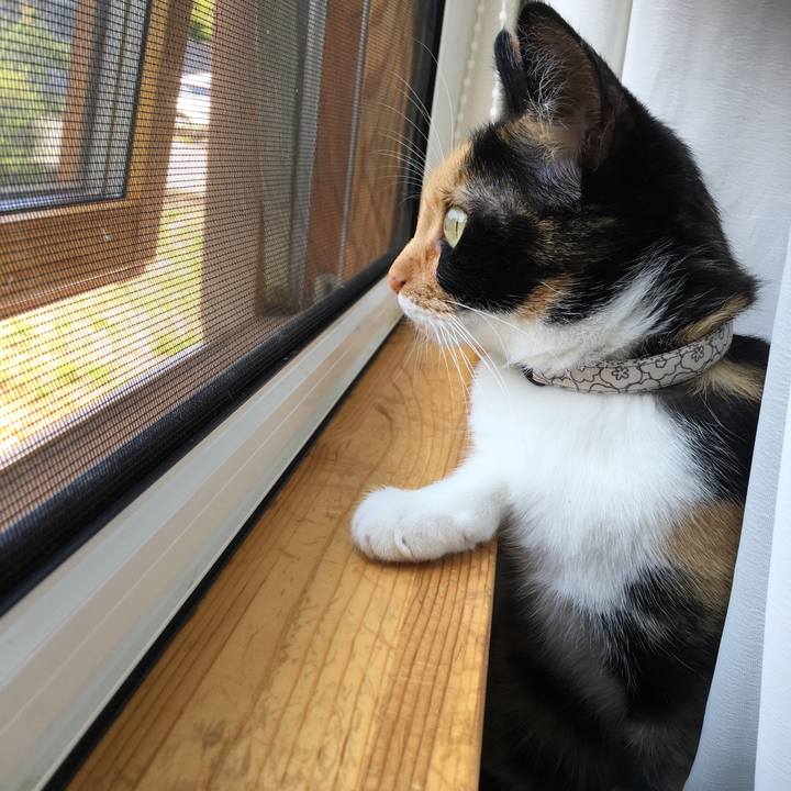 1539d04e ec10 439a b3f7 b66d4f05be98