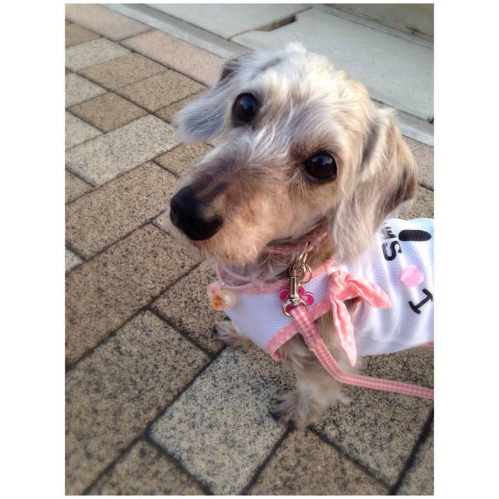 153a3405 cedd 463e a51b aa0106ac429f