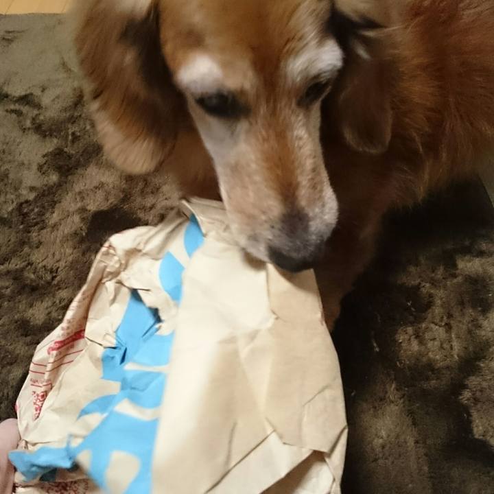 153aade2 5800 471a 968e ed4cd23992d9