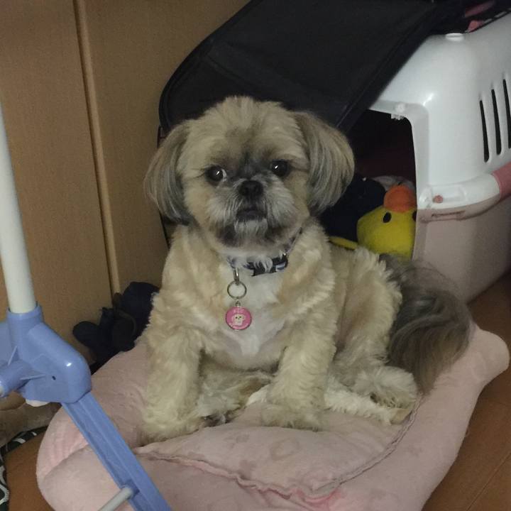 153ae21b e8c0 440d bccb 86365568c69a