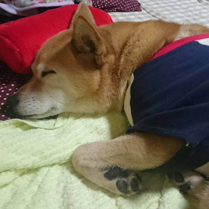 153be58b 4611 413a 9b8d 4a47c1a31f13