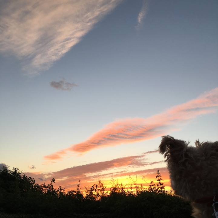 153c9605 e6ab 412b acb6 5dd213f6d9c0