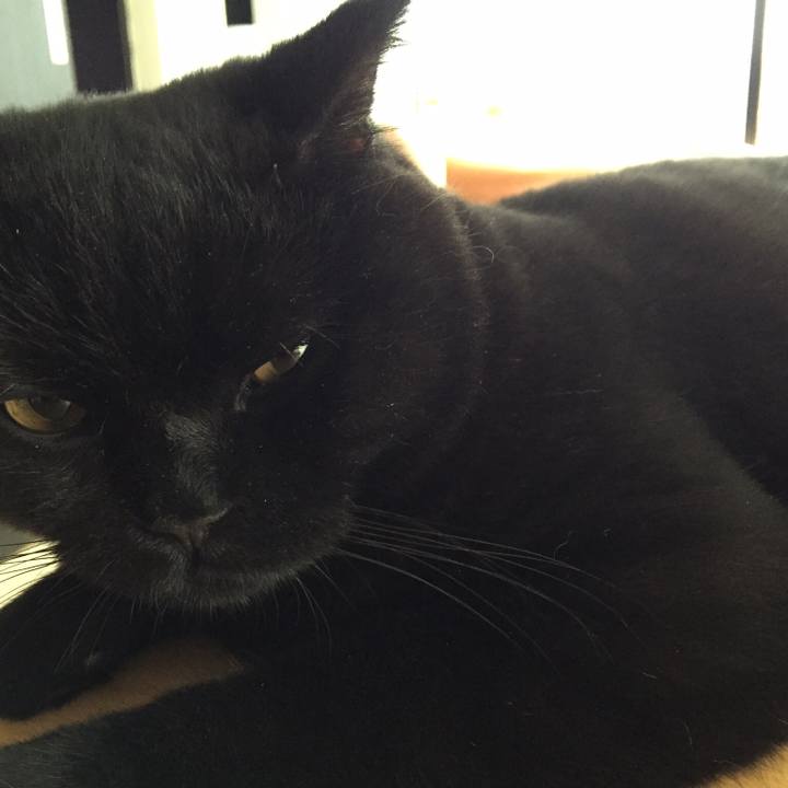 153d2d60 e698 4588 a1ea c1be0c24ea80