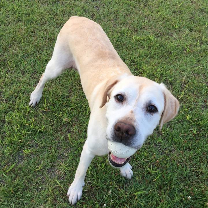 153d43bf b419 4ba3 94e2 bf87ab678675