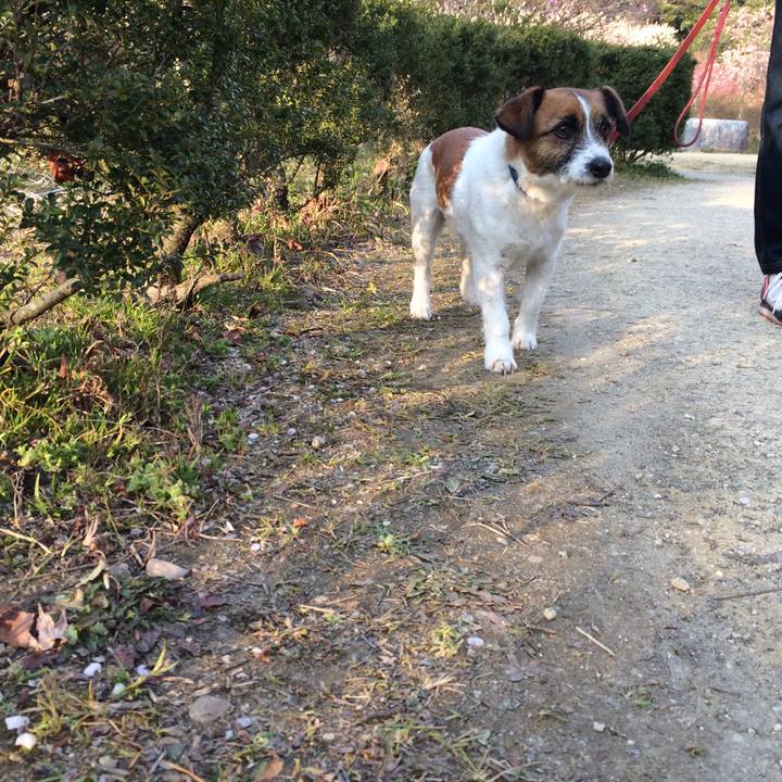 153da01b fa4a 4186 8e5a 5a050b3aa7f3