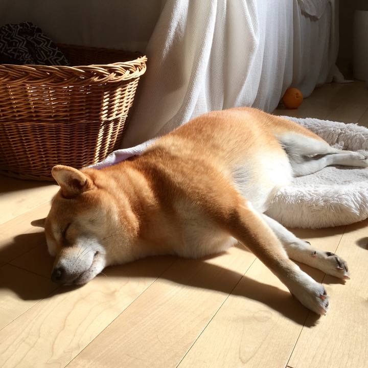 153da8c3 0c34 45d4 9046 195352b83d4b