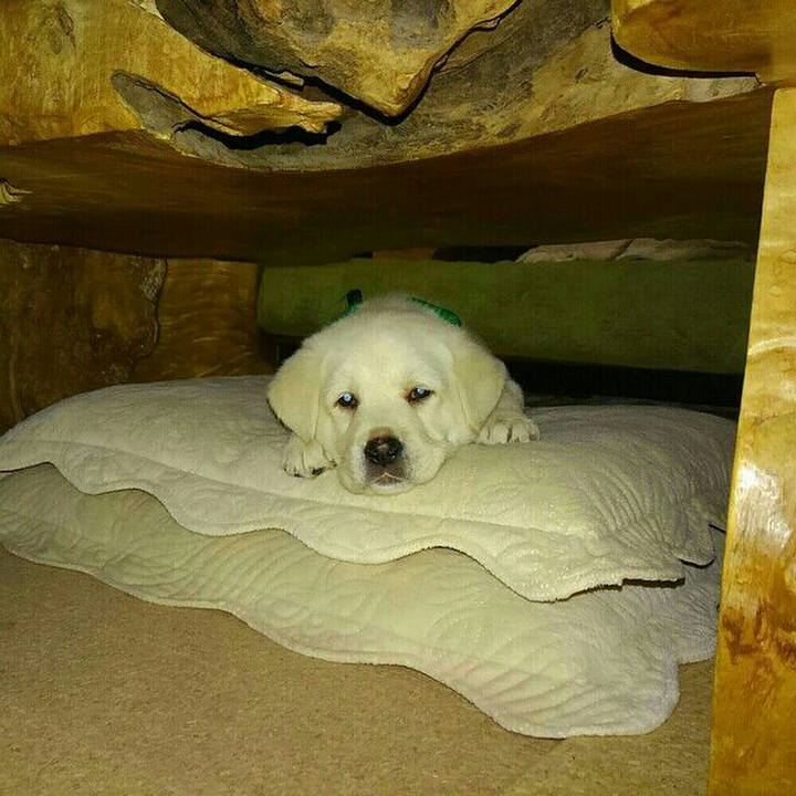 153df0eb 2544 4548 b08f f8e7b6537d85