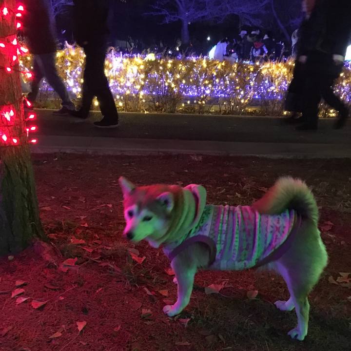 153e0d71 f0a1 4209 bd40 9cfb3d7f3185