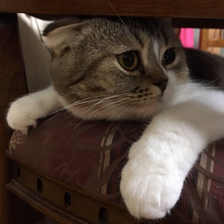 153e104e 7bf0 410a ab4e 3545d8136c24