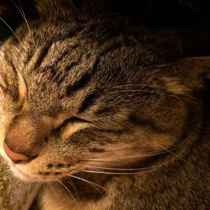 153fc9d0 ff84 4232 91c3 9c58c4773f29