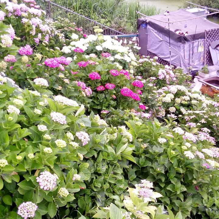 153fee01 40e6 4237 966d 89d8b0e60571