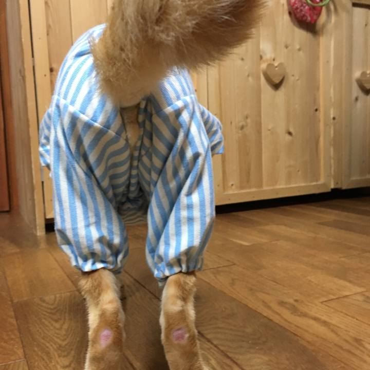 153ffd66 7bde 4dbb 88e0 065d3ca555b6