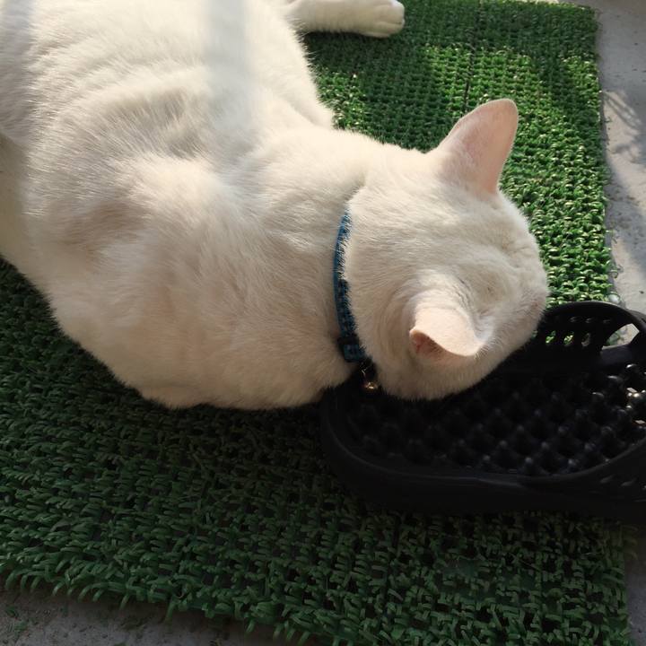 154007f5 0c3b 41ef 81a9 e61c3b8b3afd