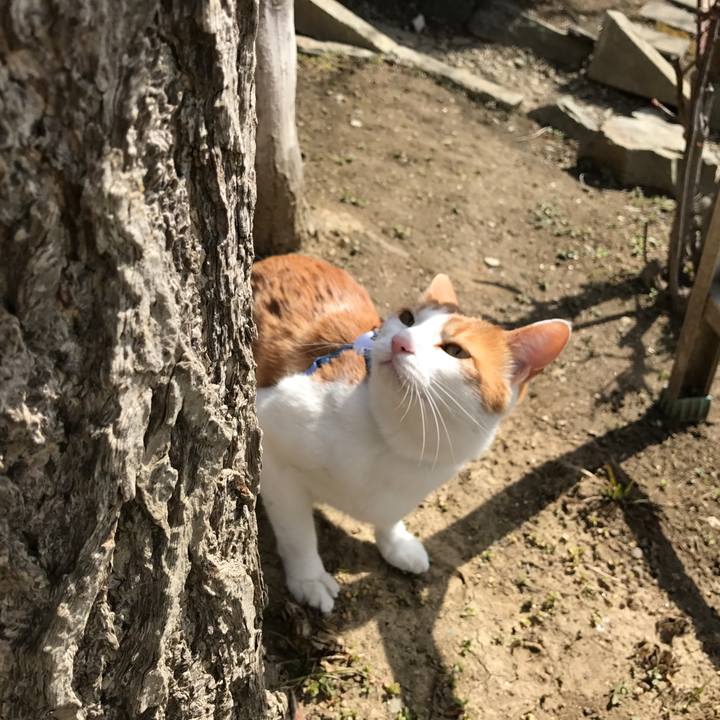 15408eb6 d7ae 431d afba 9cd9ca8cfafa