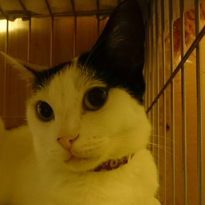 1540bf91 23e5 44b5 85ed 4898edb9974d