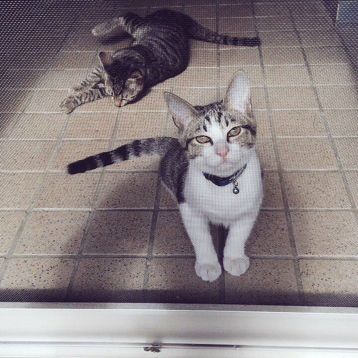 1540d0c0 a105 4b0d a784 2525b6a35357