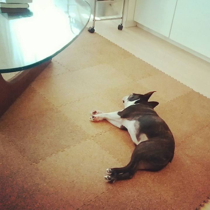 15411c77 ad1f 4053 959a d2776d685f0a