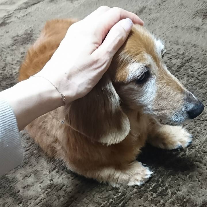 15415289 aa6f 4e5e 870f 5cabd514ea52