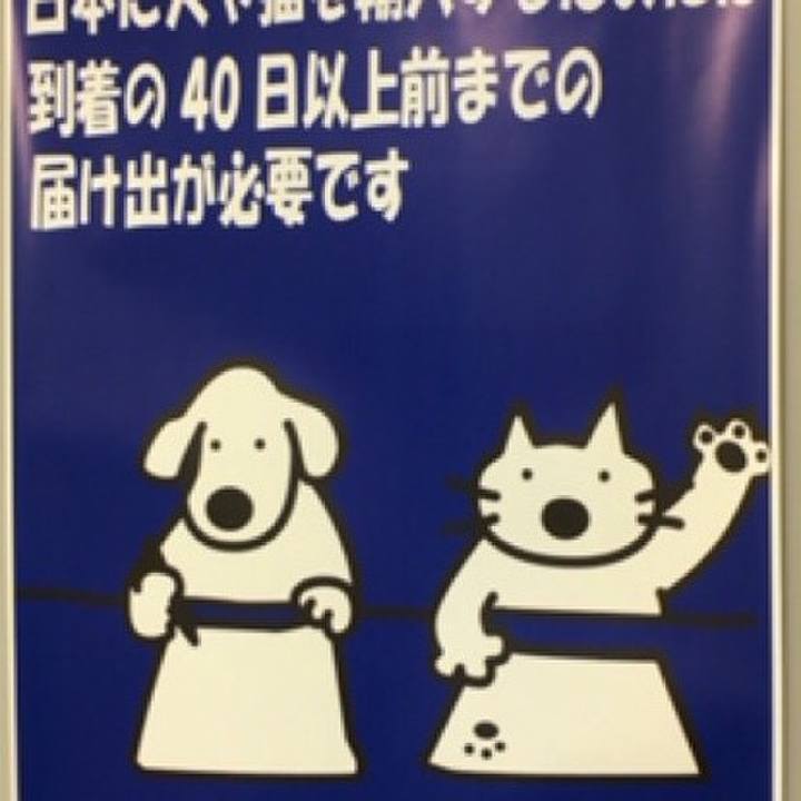 15416ad8 426c 4b7c b541 e8ff7c575c51