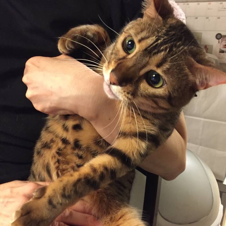 15418a44 41fc 4fb2 a27f 5889a82be47c