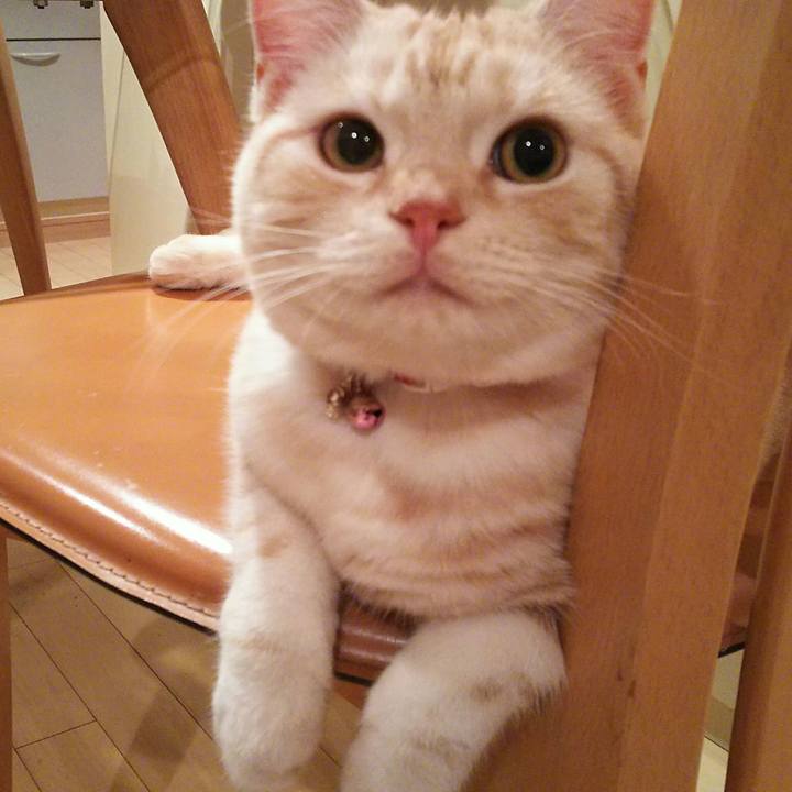 1541af07 a502 48a4 ab83 cf15253f58b3