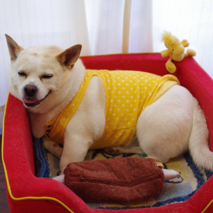 1541dc6b 5a63 469e 97e3 6e526245089c