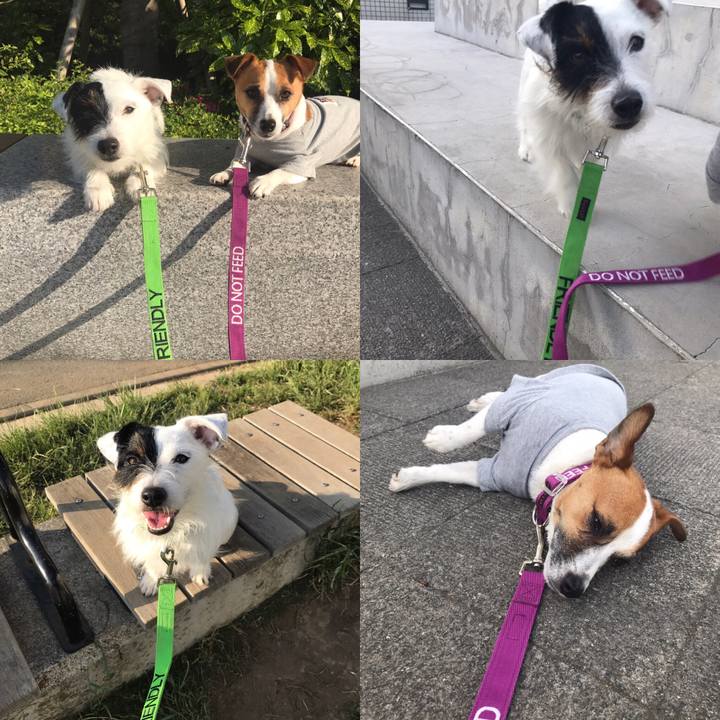 154227f3 7374 4177 a3bf 03cfe8fae4e6