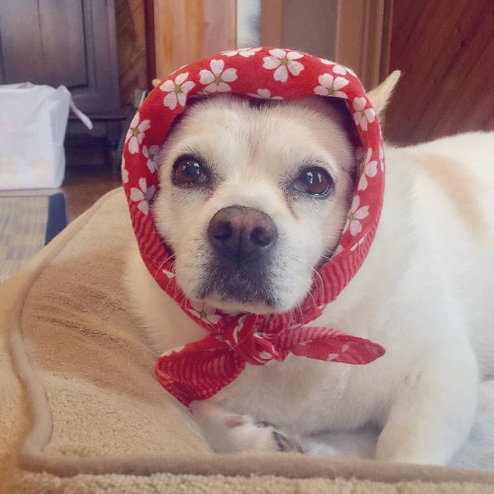 1542aadf 27b6 4e87 96d5 a3023253a891