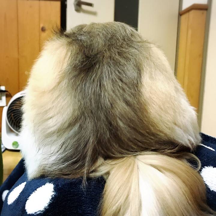 1542dd49 913e 4314 a774 b6f2937c2f69