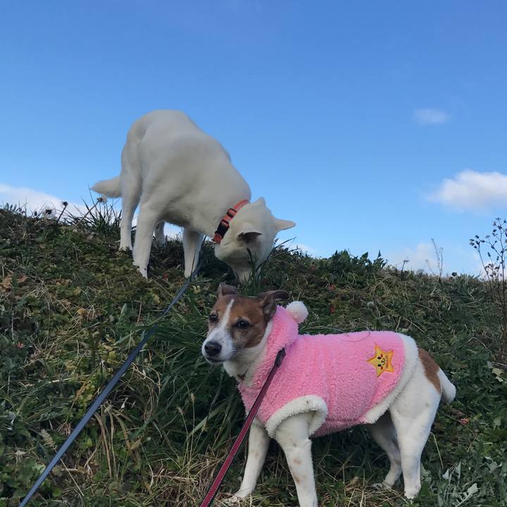 154375ee d40c 4a5b 8de0 1bebd100cfad