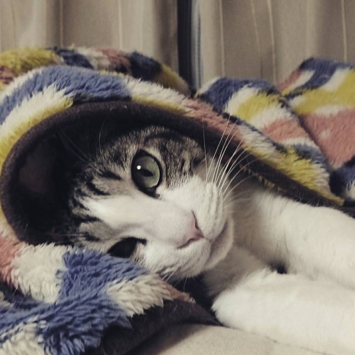 154387f8 e2bb 4412 8934 fb7406f35d8e