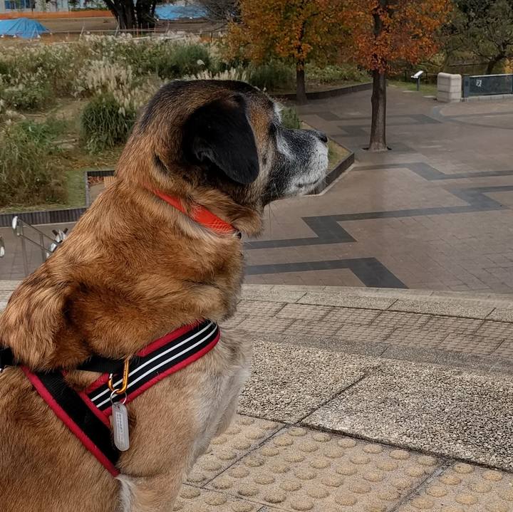 15438b18 a88e 4b3b 88a0 a2ced25ddb38