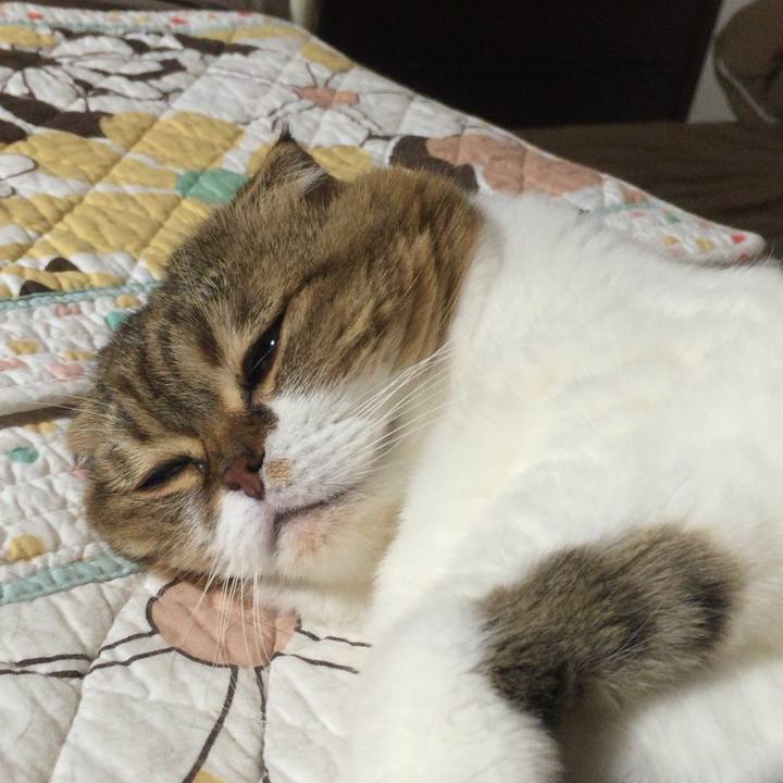 15439a59 4909 4cab a9bb 5b3cc23634e7