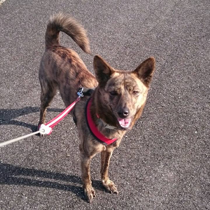 1543c2eb c4e8 4e97 84e4 865a111928d2