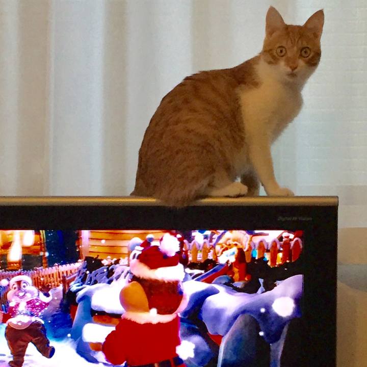 1544139e 5b33 4471 8d9a 5e20189c5ae3