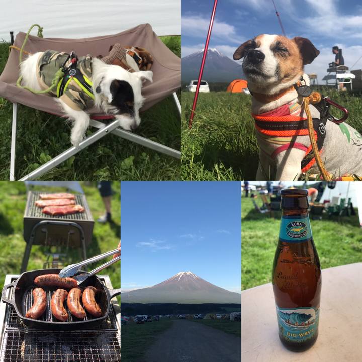 15451796 b40c 4950 971b 1b2bae95e031