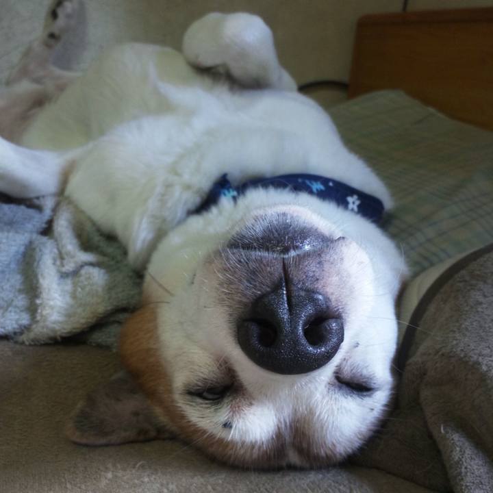 1545e456 e888 42c4 8dc2 673aede28037