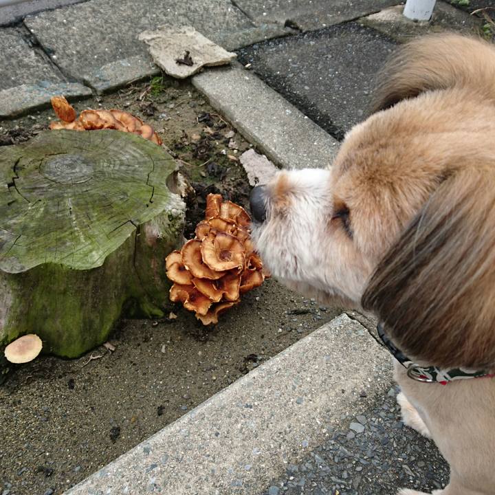 15467053 465c 46a2 8164 6be5c88654c3