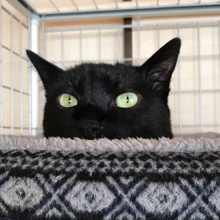 1546afec 7f6f 496b a54e 3d8d473c7795