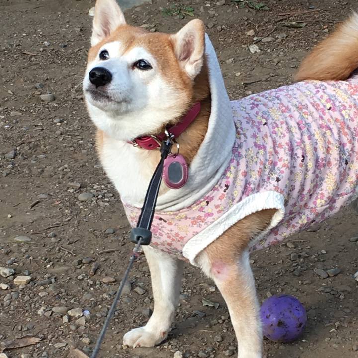 15472be2 56a9 4db7 a9ca 686c82c47a71