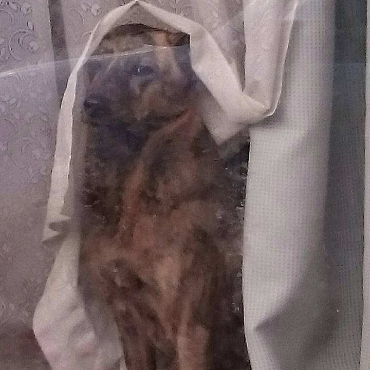 1547770d 2284 4b11 8187 b8c9653edb61